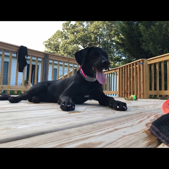 If I don’t go big I don’t go. - Picture 5 of 6